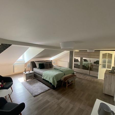 City Center Apartment Katarina Mariánské Lázně Екстериор снимка